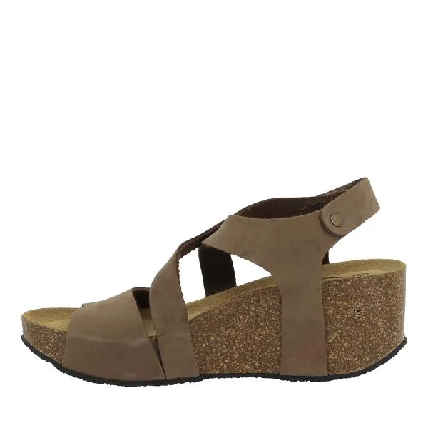 Plakton 875644 Brown Wedges