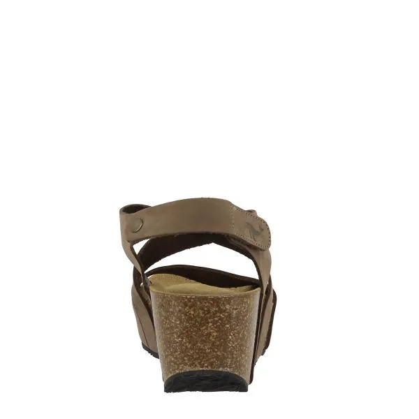 Plakton 875644 Brown Wedges