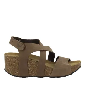 Plakton 875644 Brown Wedges